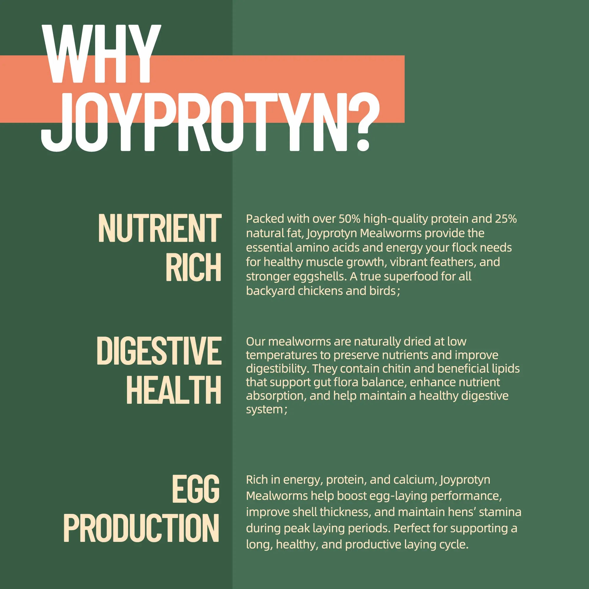 Dried Mealworms for Chickens by Joyprotyn  | 24H Shipping
