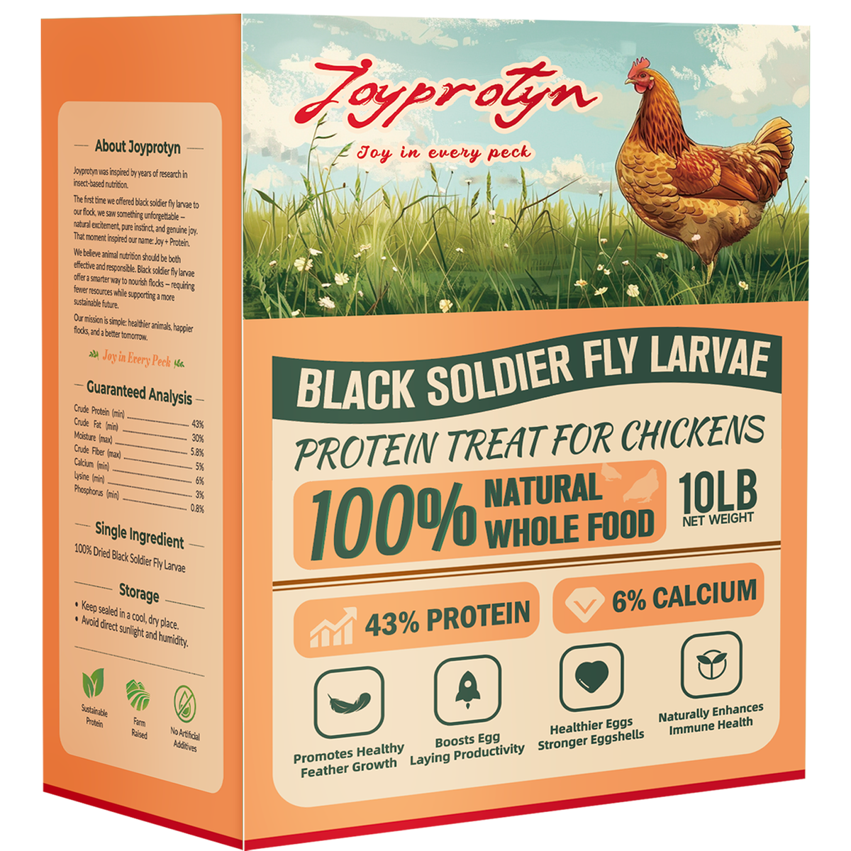 Dried Black Soldier Fly Larvae by Joyprotyn | 24H Shipping