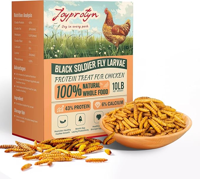 Dried Black Soldier Fly Larvae by Joyprotyn | 24H Shipping