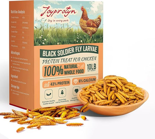 Dried Black Soldier Fly Larvae by Joyprotyn | 24H Shipping