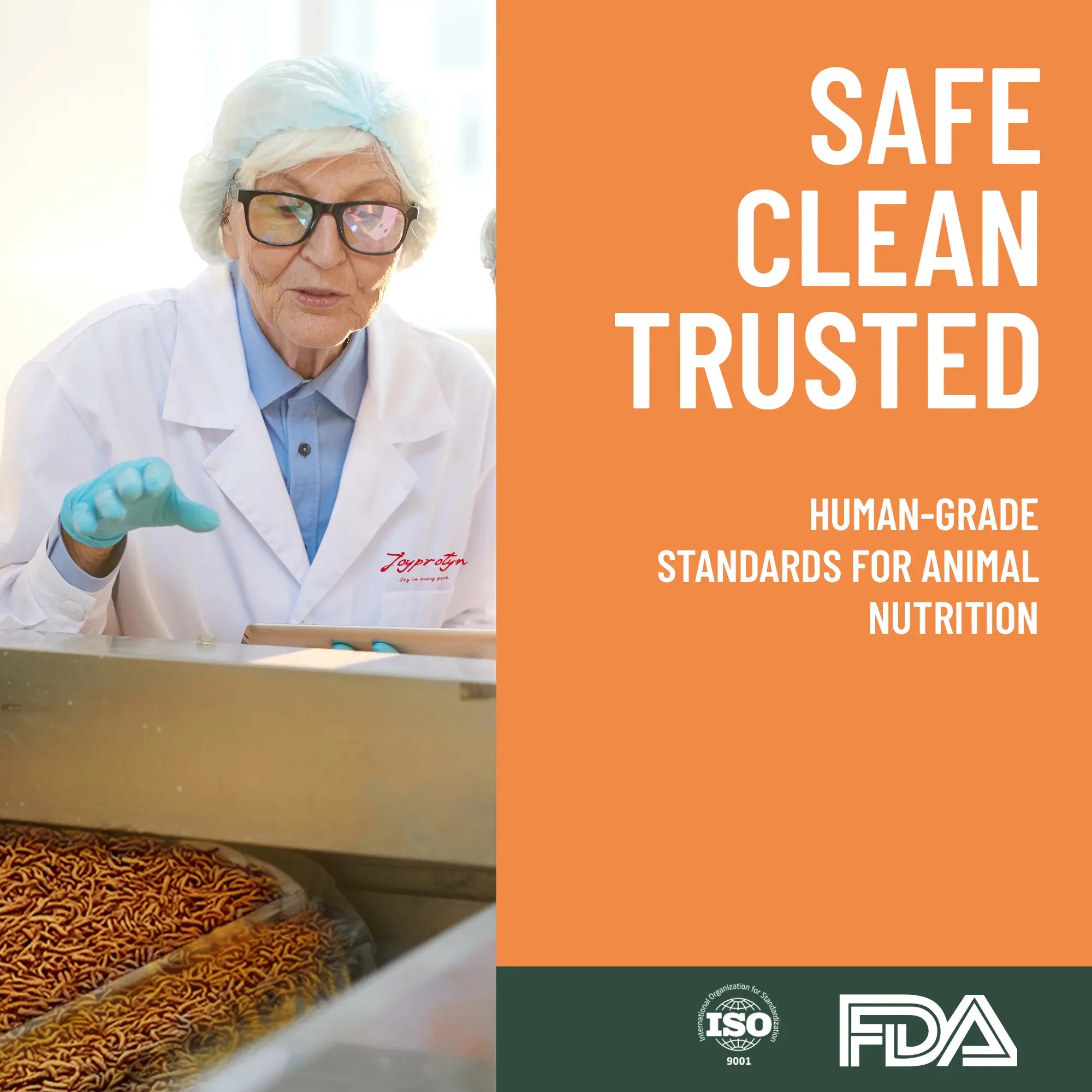 Dried Black Soldier Fly Larvae by Joyprotyn | 24H Shipping