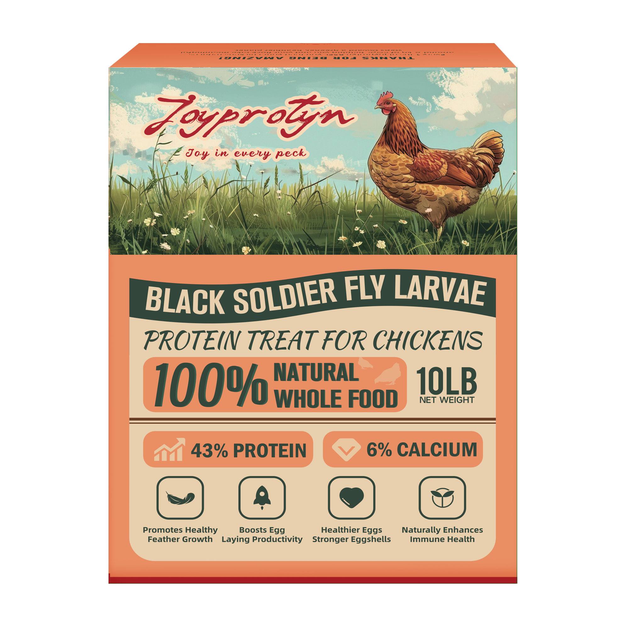 Dried Black Soldier Fly Larvae by Joyprotyn | 24H Shipping
