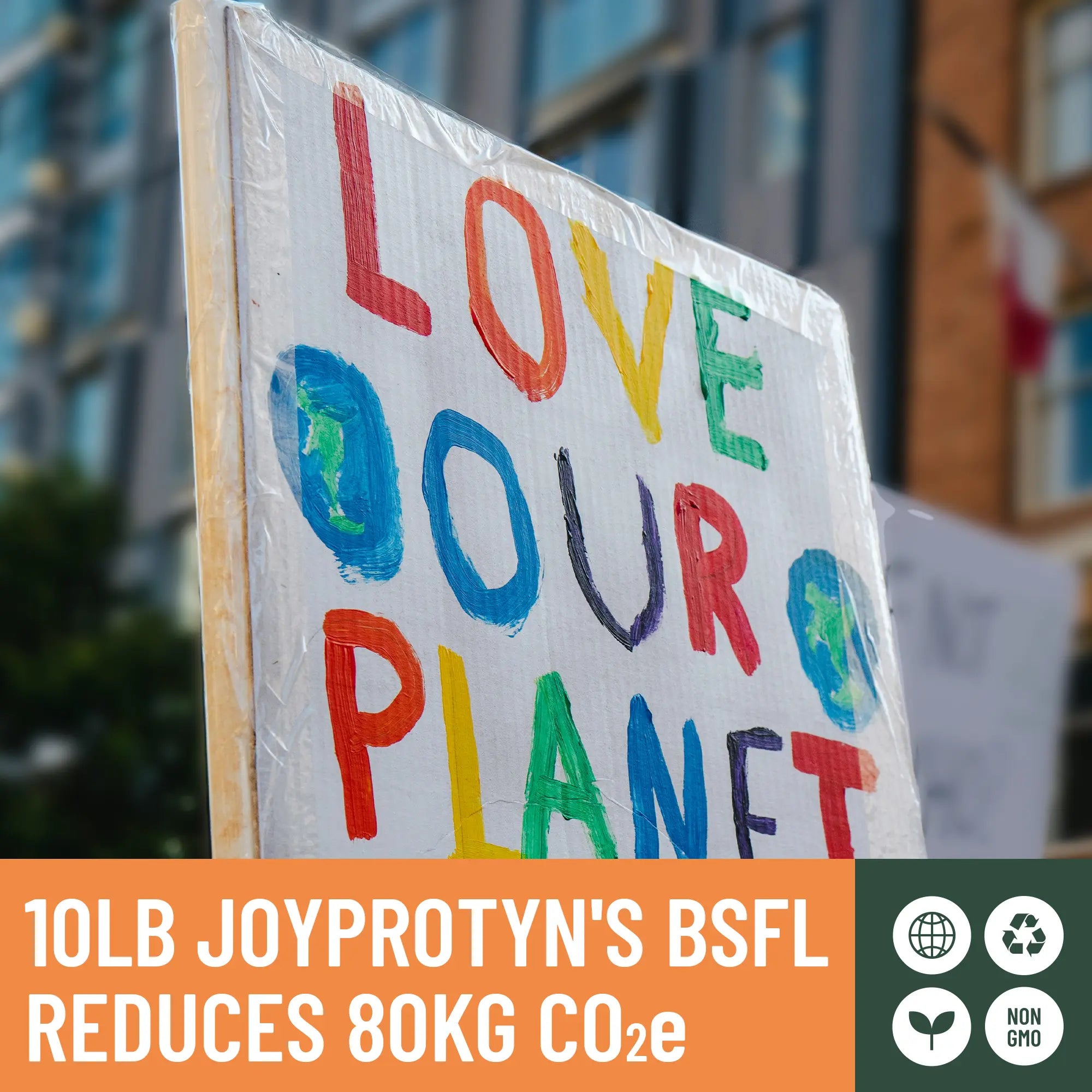 Dried Black Soldier Fly Larvae by Joyprotyn | 24H Shipping