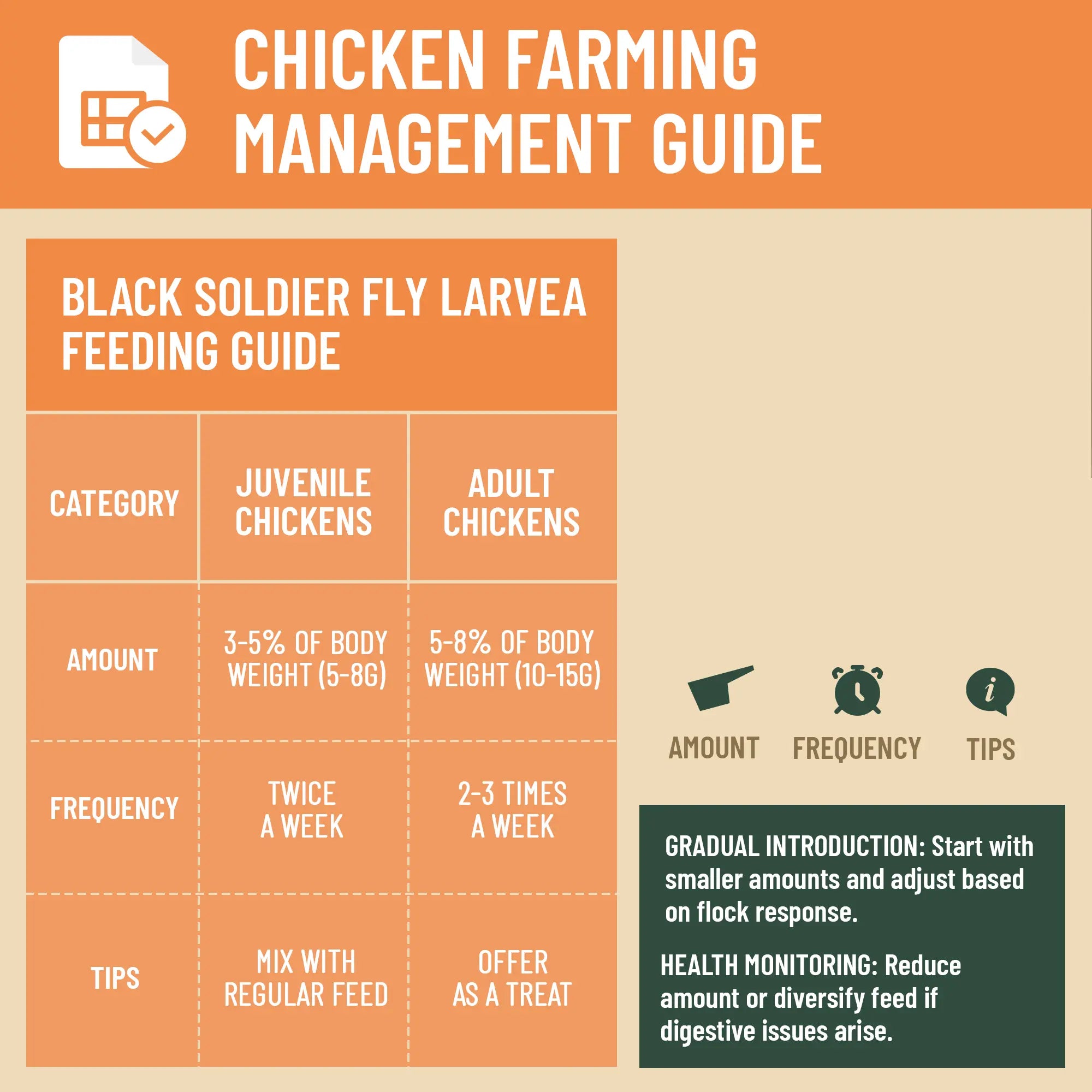 Dried Black Soldier Fly Larvae by Joyprotyn | 24H Shipping