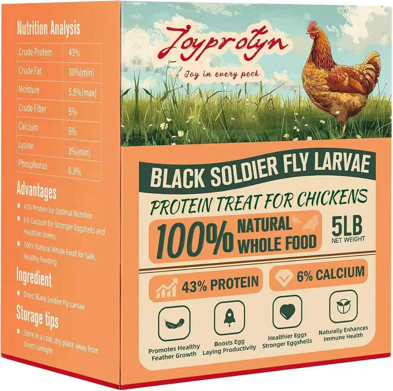 Dried Black Soldier Fly Larvae by Joyprotyn | 24H Shipping