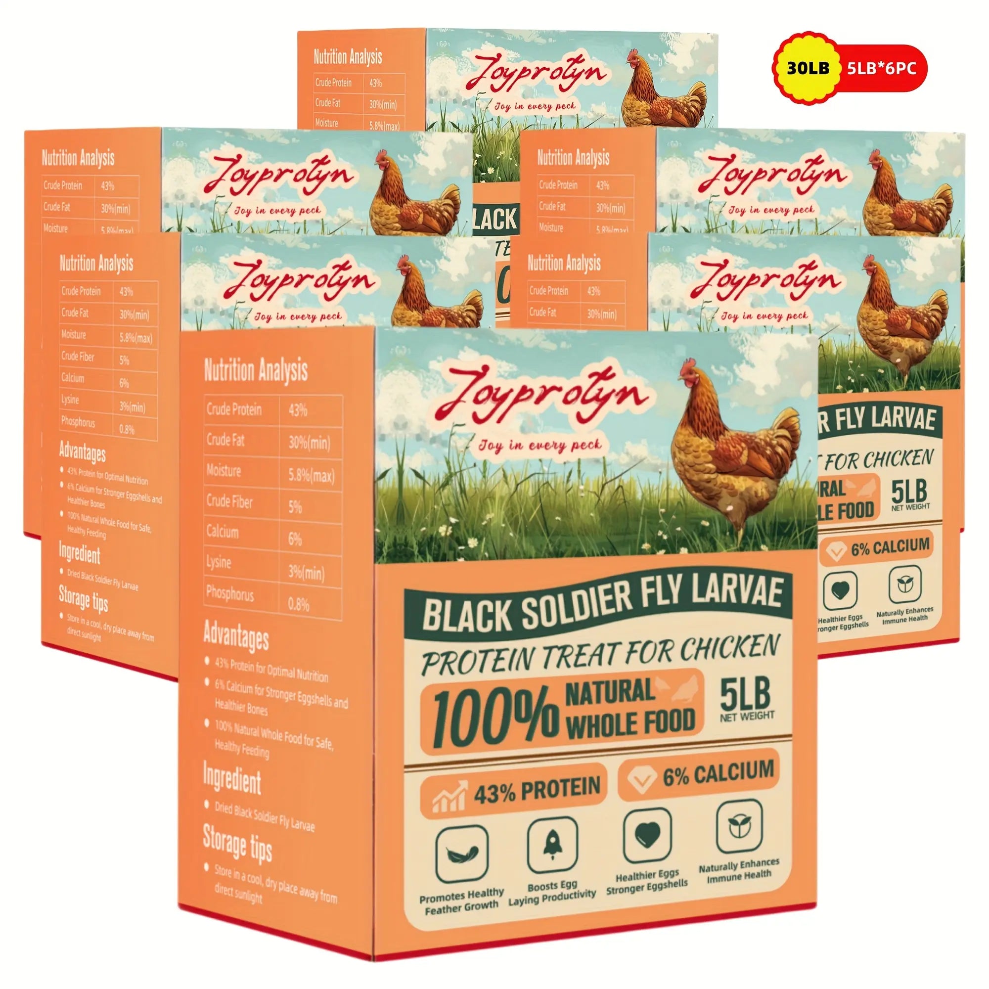 Dried Black Soldier Fly Larvae by Joyprotyn | 24H Shipping