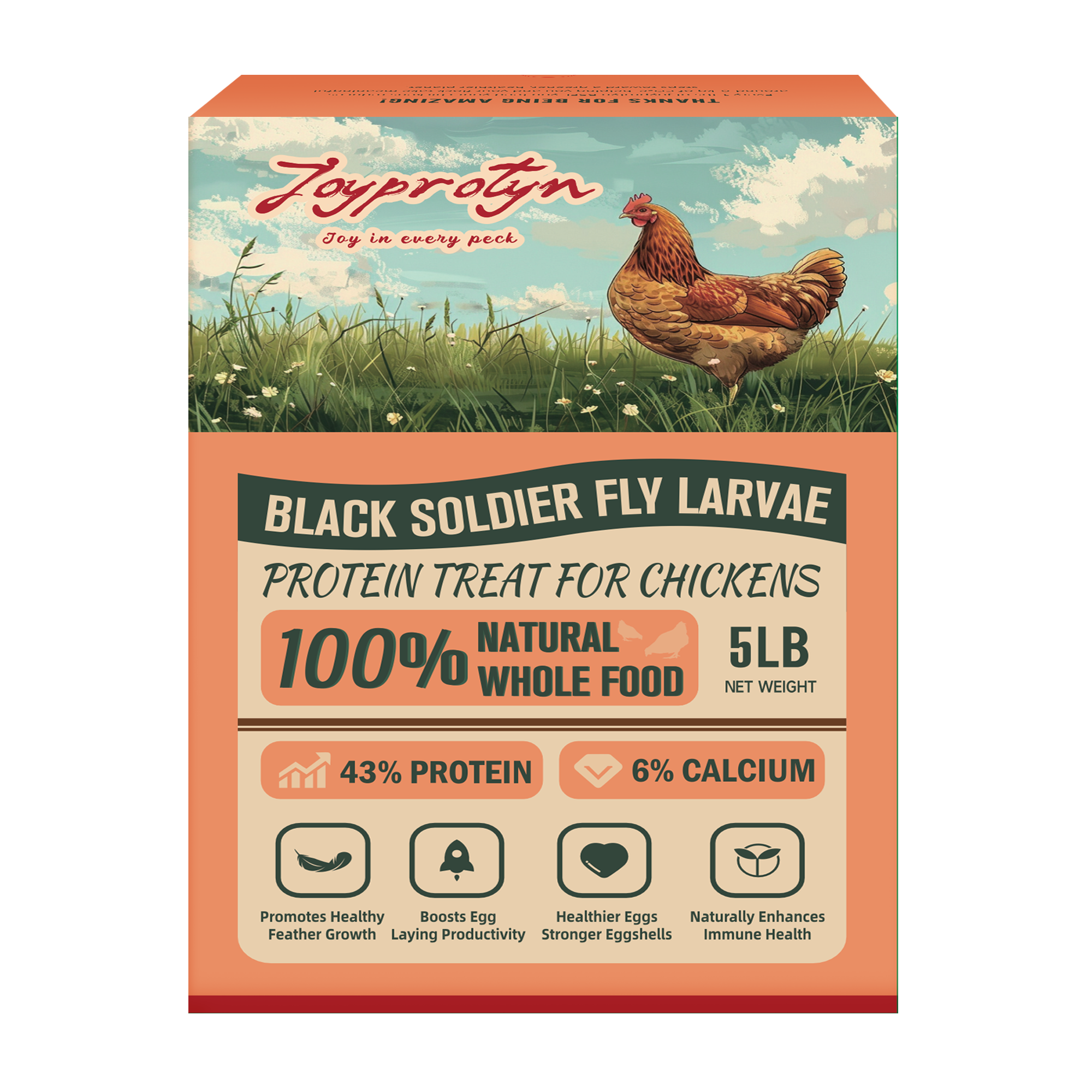 Dried Black Soldier Fly Larvae by Joyprotyn | 24H Shipping
