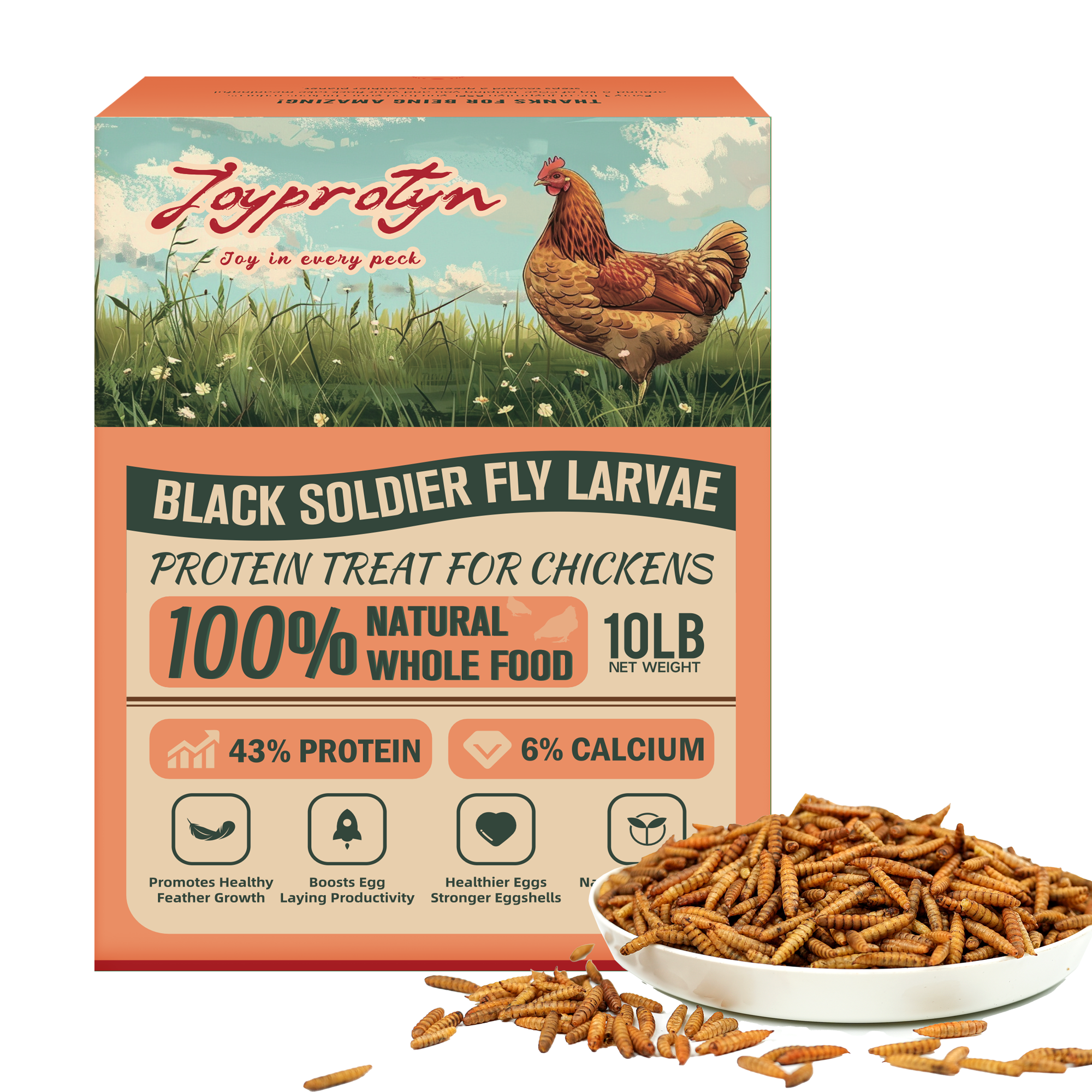 Dried Black Soldier Fly Larvae by Joyprotyn | 24H Shipping