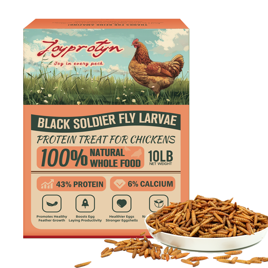 Dried Black Soldier Fly Larvae by Joyprotyn | 24H Shipping