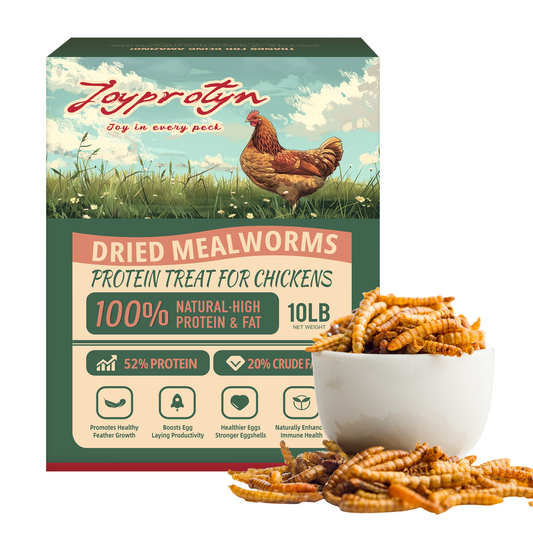 Dried Mealworms for Chickens by Joyprotyn  | 24H Shipping