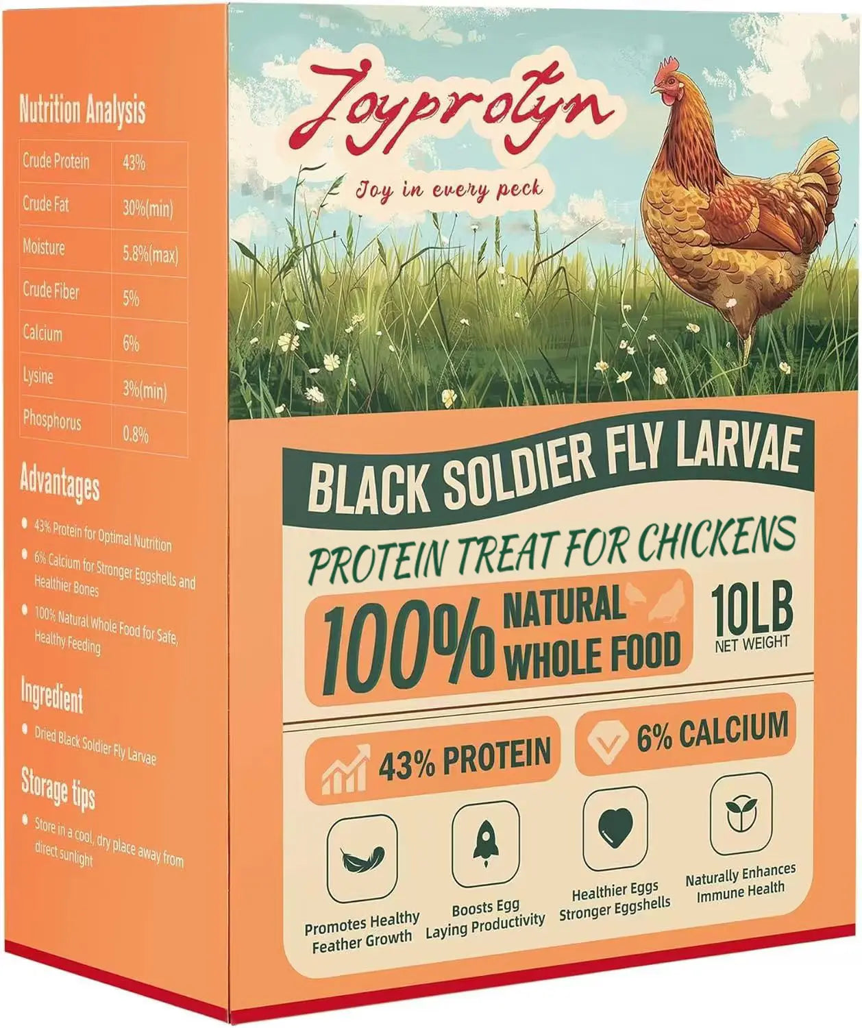 Dried Black Soldier Fly Larvae by Joyprotyn | 24H Shipping